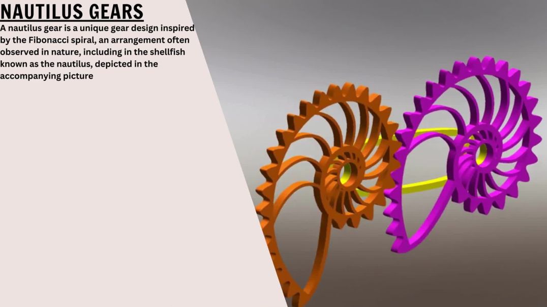 Nautilus Gear Design